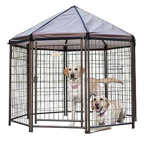 Best Dog Houses For Hot Weather । 6 Dog House Reviews Dogcattalk