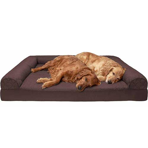 Best couch material for dogs (Ultimate Guide 2020) - Dogcattalk