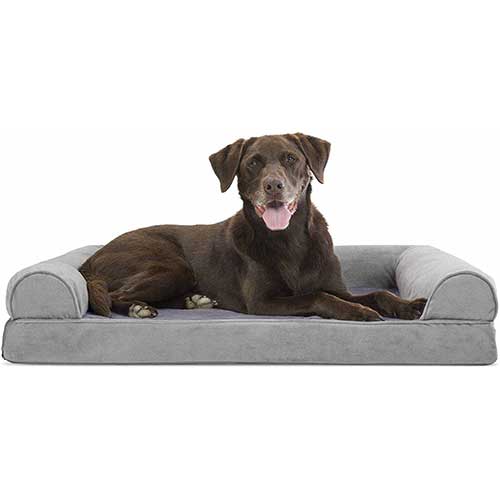 Best couch material for dogs (Ultimate Guide 2020) Dogcattalk