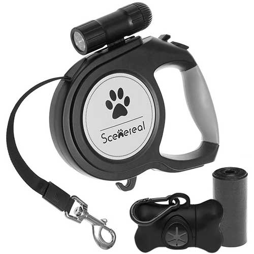 12 Best Retractable Dog Leash With Extensive Features Dogcattalk