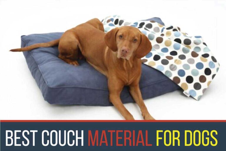 Best couch material for dogs (Ultimate Guide 2020) Dogcattalk