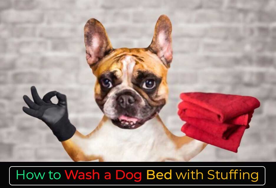 washing dog bed stuffing