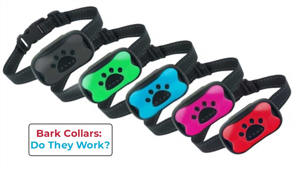 are bark collars cruel