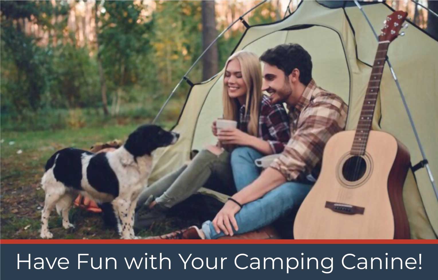 Have Fun with Your Camping Canine