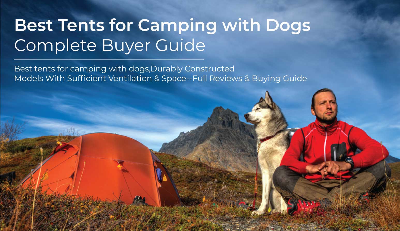 best camping dogs