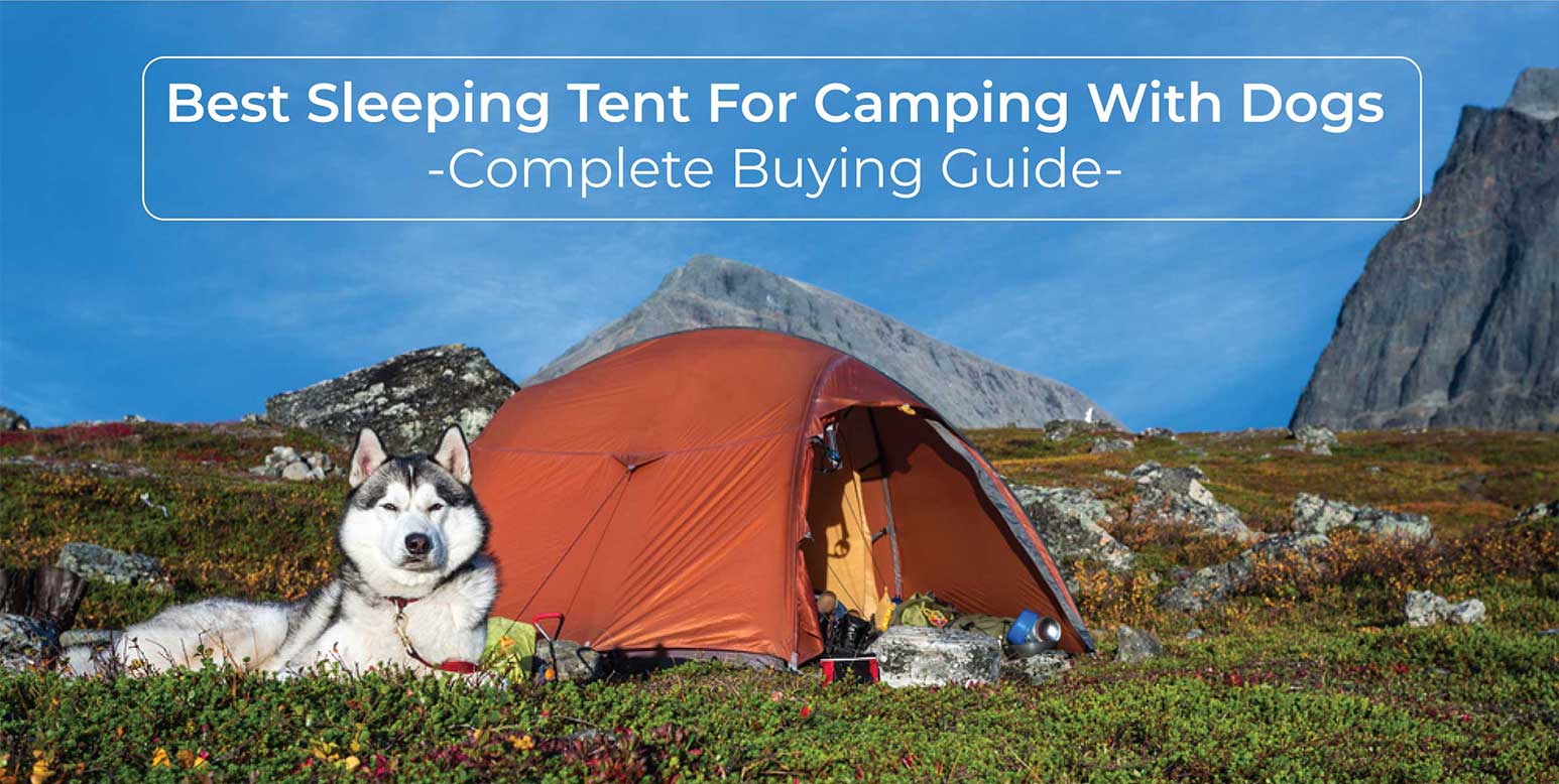 Best tents for camping with dogs