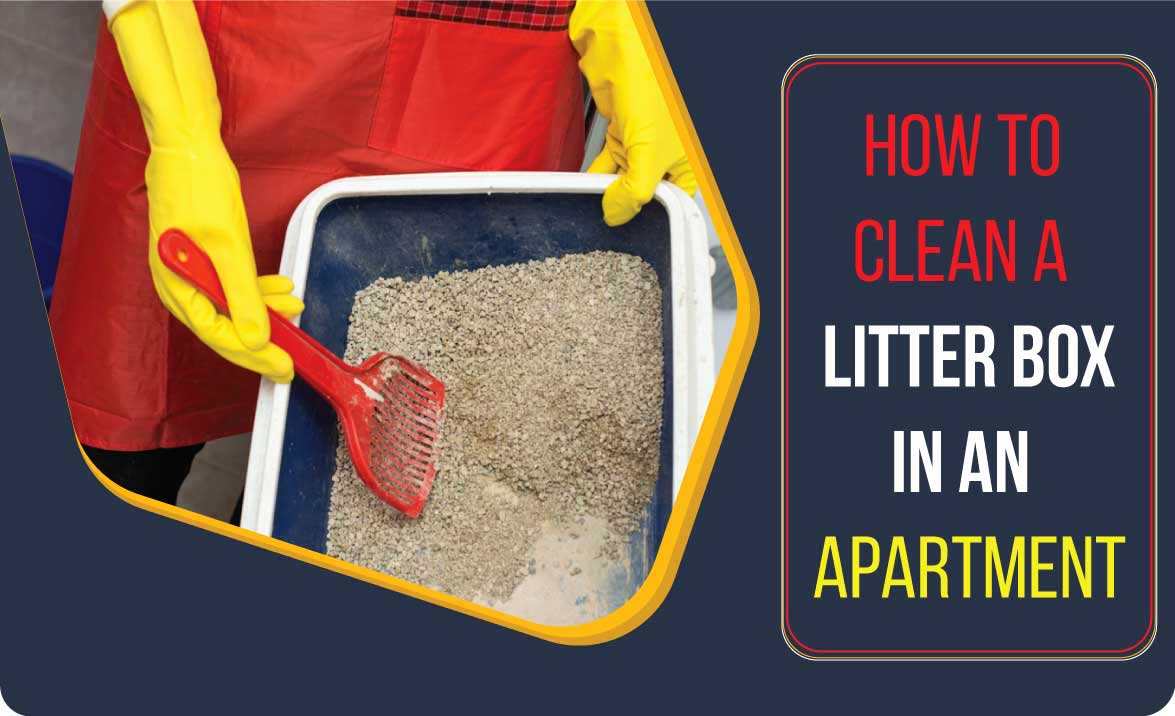 how to clean a litter box in an apartment