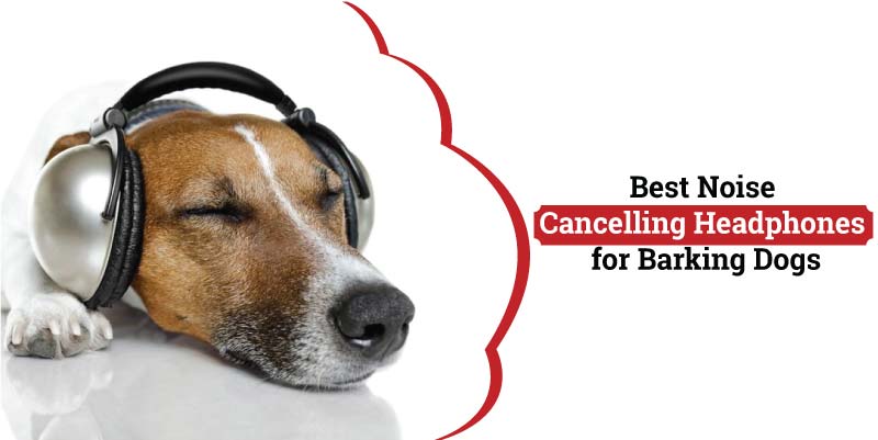 Best-Noise-cancelling-headphones-for-barking-dogs