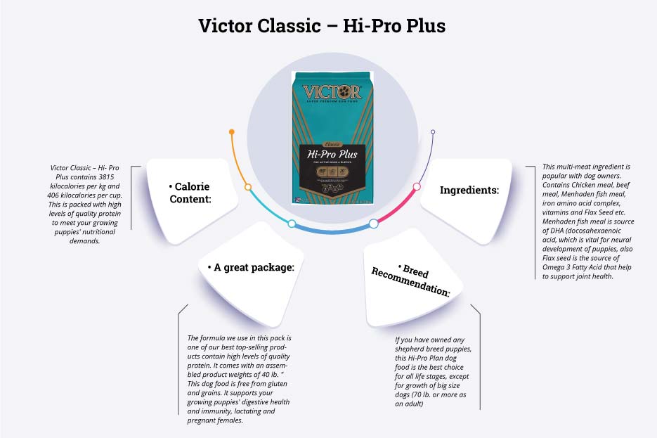 vector classic- Hi pro plus