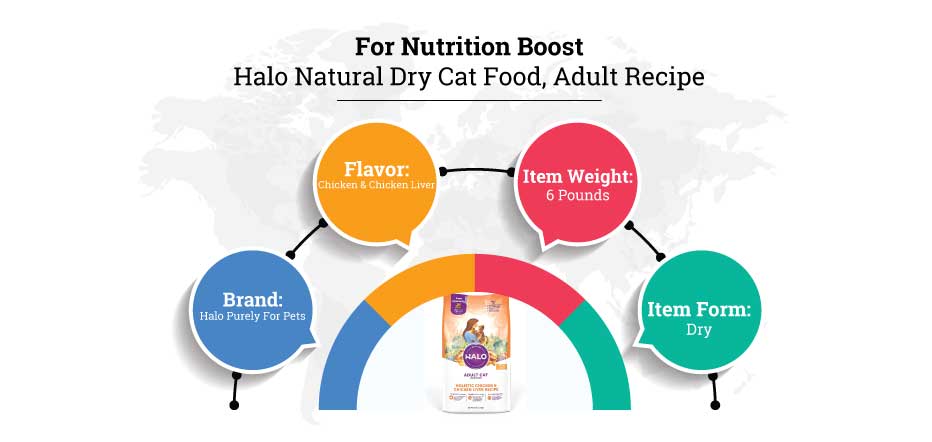halo natural dry cat food