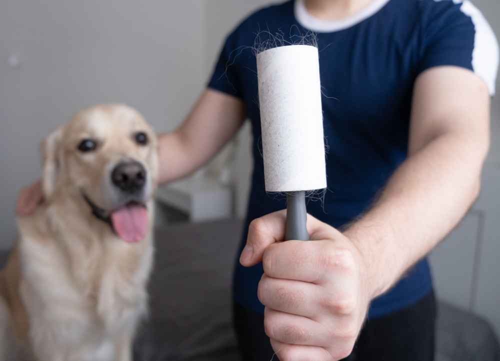 how to remove hair and debris with a vacumm and lint roller