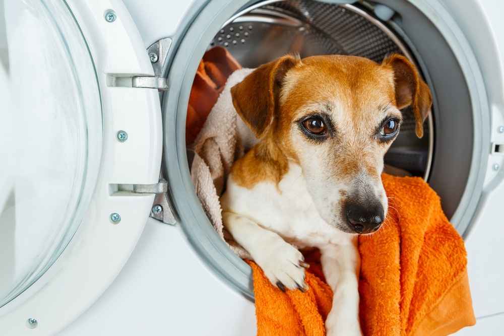how to wash a dog bed with stuffing in the washer